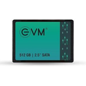 EVM 512GB 2.5-Inch SATA Internal SSD - 550MB/s Read & 500MB/s Write - 5-Year Warranty (EVM25/512GB)