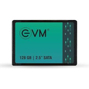 EVM 128GB 2.5-Inch SATA Internal SSD - 550MB/s Read & 500MB/s Write - 5-Year Warranty (EVM25/128GB)
